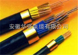 KVV22 控制铠装电缆