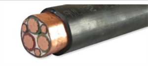 BPGGPP2-3*70+3*10變頻電纜