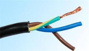 儀表電纜RVVP 4*0.5