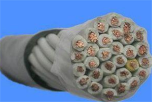 KYJYP 24*2.5控制電纜